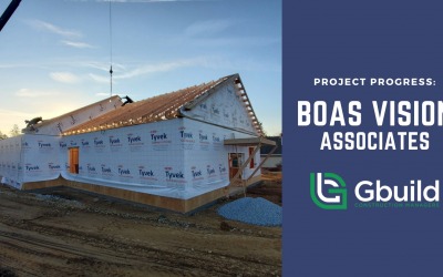 Project Progress: Boas Vision Associates