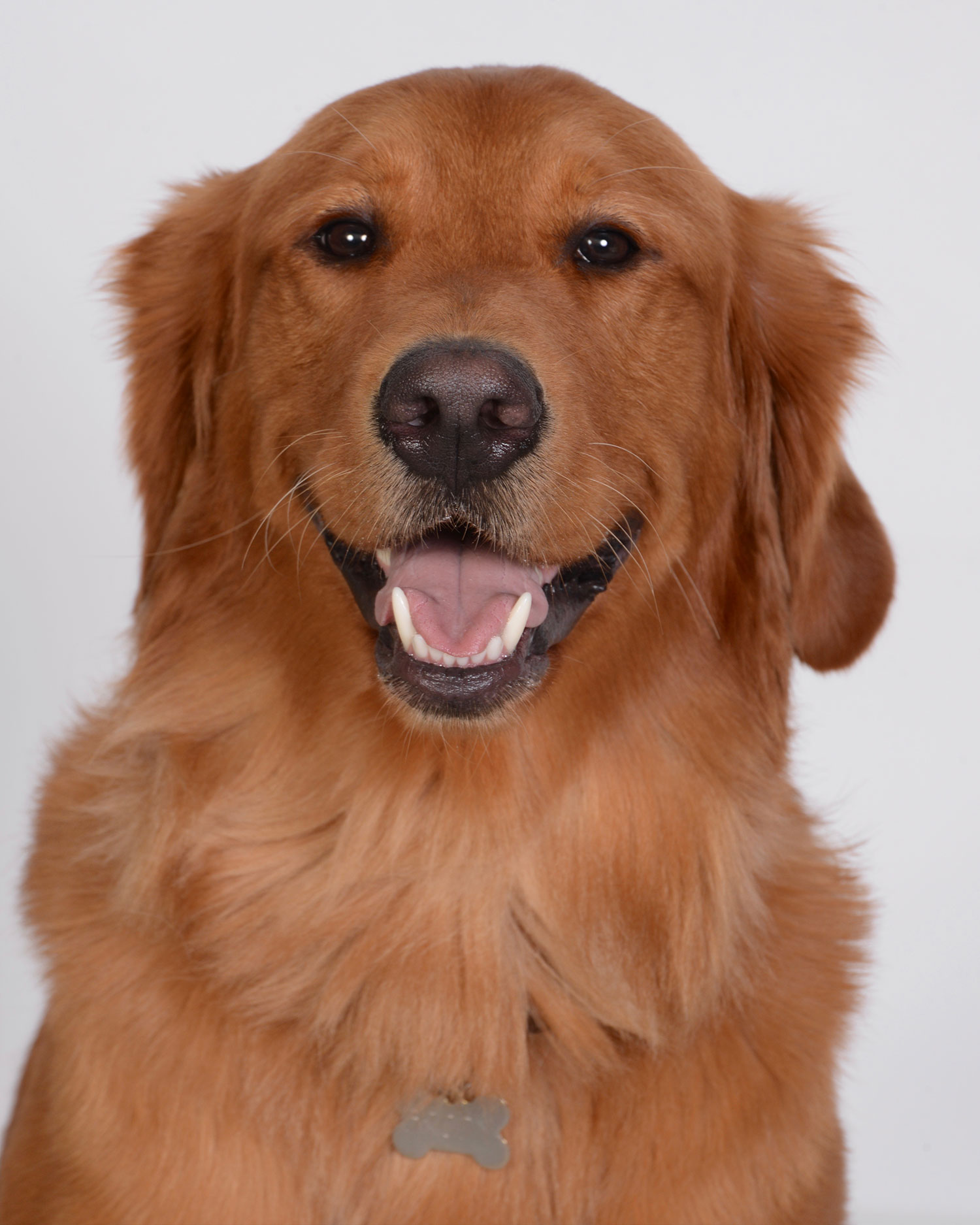 Brody
